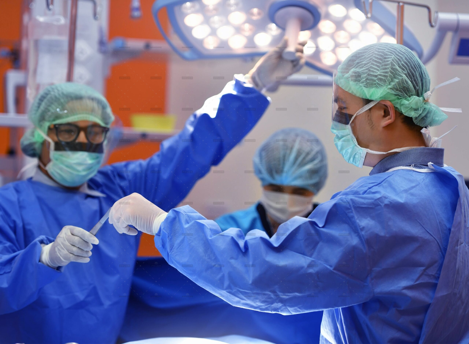 demo-attachment-105-DSC_-1-scaled